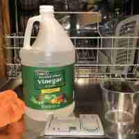 Clean Dishwasher With Vinegar