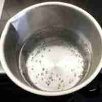 Boil Water in instant pot