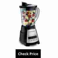 best small blender for frozen fruit