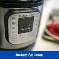 instant pot keep warm overnight 2022 issue
