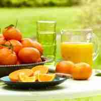 juice an orange with a juicer guide