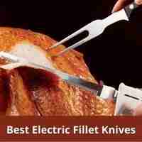 Best electric fillet knives