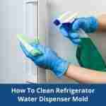 How to clean refrigerator water dispenser mold