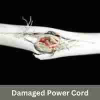 Damaged Power Cord