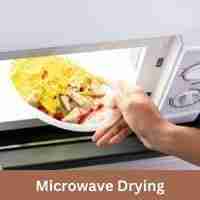 Microwave Drying