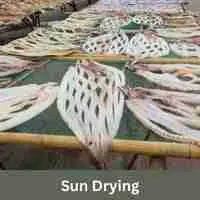 Sun Drying