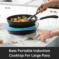 Best portable induction cooktop for large pans