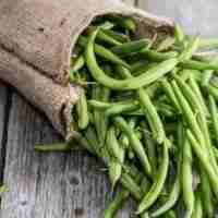 Can you eat green beans raw 2023 guide