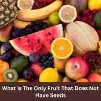 What is the only fruit that does not have seeds