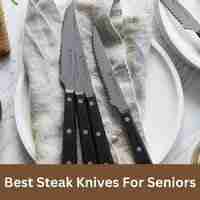 Best steak knives for seniors