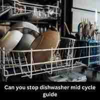 Can you stop dishwasher mid cycle 2023 guide