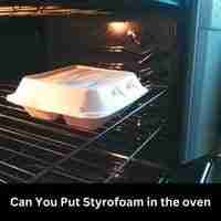 Can You Put Styrofoam in the oven 2023 guide