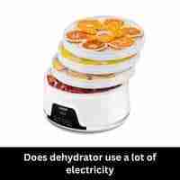 Does dehydrator use a lot of electricity