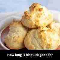 How long is bisquick good for 2023 guide
