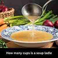 How many cups is a soup ladle 2023 guide
