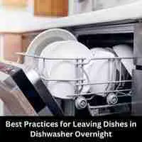 Best Practices for Leaving Dishes in Dishwasher Overnight