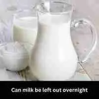 Can milk be left out overnight 2023