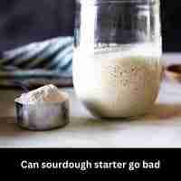 Can sourdough starter go bad 2023