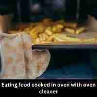 Eating food cooked in oven with oven cleaner 2023