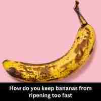 How do you keep bananas from ripening too fast 2023