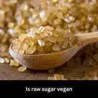 Is raw sugar vegan 2023