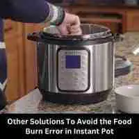 Other Solutions To Avoid the Food Burn Error in Instant Pot