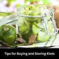 Tips for Buying and Storing Kiwis 2023