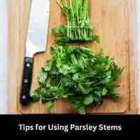 Tips for Using Parsley Stems