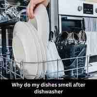 Why do my dishes smell after dishwasher 2023