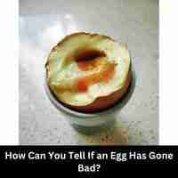 How Can You Tell If an Egg Has Gone Bad