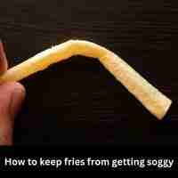 How to keep fries from getting soggy 2023