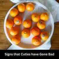 Signs that Cuties have Gone Bad